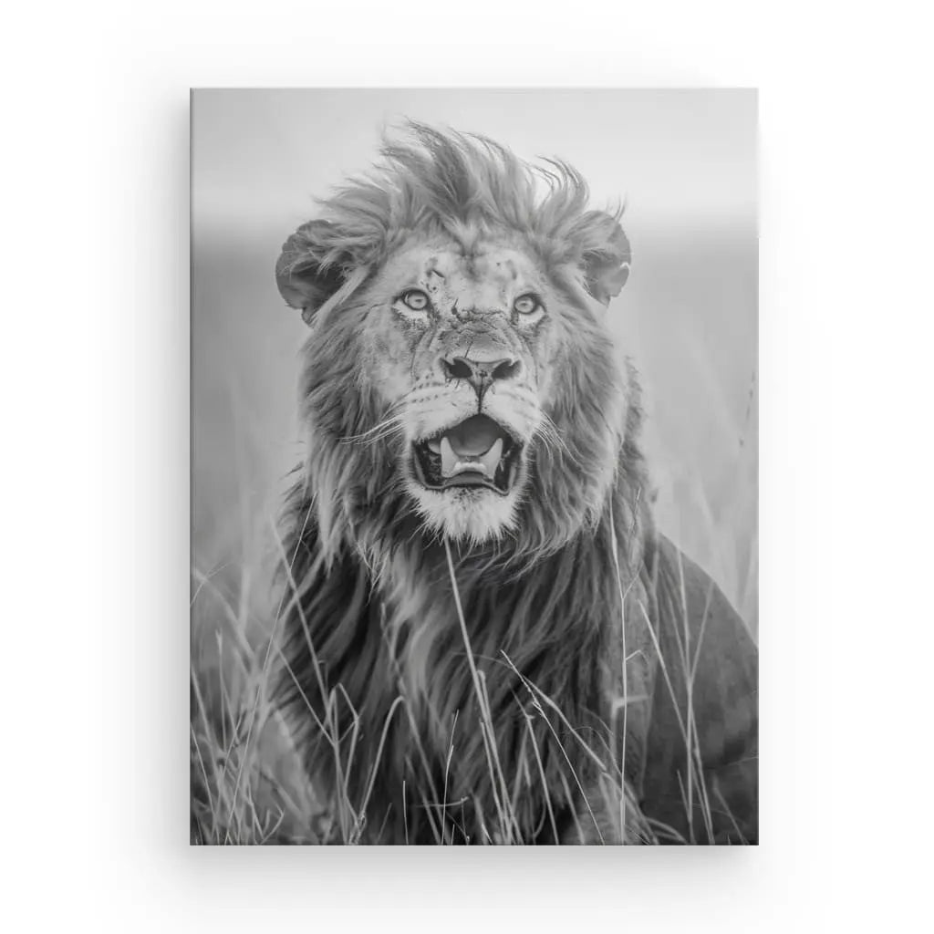 Photographie faune en noir et blanc capturant un lion majestueux assis dans les herbes hautes, tourné vers l'avant, la gueule légèrement ouverte et la crinière au vent. Parfait pour les passionnés de décoration animale à la recherche d'un Tableau Lion Rugissement Noir et Blanc saisissant pour leur espace.