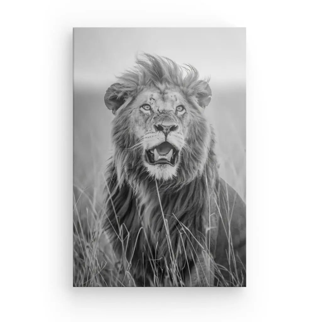 Image en noir et blanc d'un lion avec une crinière pleine, debout dans les herbes hautes, tourné vers l'avant avec la gueule légèrement ouverte - décoration animale parfaite pour n'importe quel espace comme un saisissant Tableau Lion Rugissement Noir et Blanc.