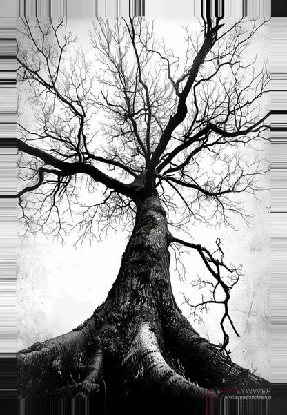 Image en noir et blanc d'un Tableau Arbre Centenaire Noir et Blanc avec des racines proéminentes et des branches stériles, prise en contre-plongée sur un ciel vide. Cette pièce élégante ajoute une beauté intemporelle à n’importe quel espace.