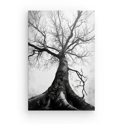 Découvrez l'élégance du **Tableau Arbre Centenaire Noir et Blanc** avec sa superbe photographie en noir et blanc représentant un majestueux arbre centenaire sans feuilles vu de la base vers le haut. Les branches complexes s'étendent vers le ciel, formant un réseau complexe de lignes qui ajoutent une touche sophistiquée à votre décor.