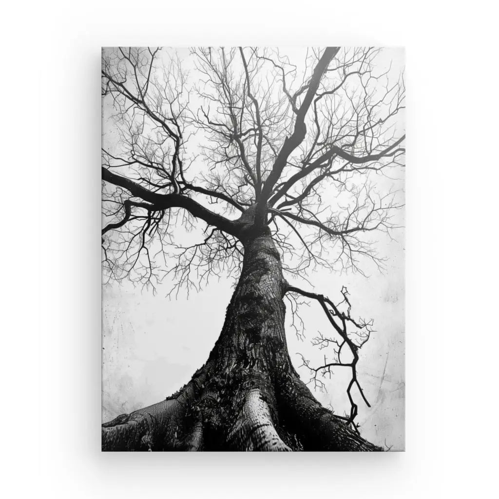 Le Tableau Arbre Centenaire Noir et Blanc capture l'essence d'un grand arbre sans feuilles avec des branches tordues sur un fond de ciel pâle. Photographiée depuis la base vers le haut, cette pièce élégante et intemporelle est parfaite pour rehausser n'importe quel espace.