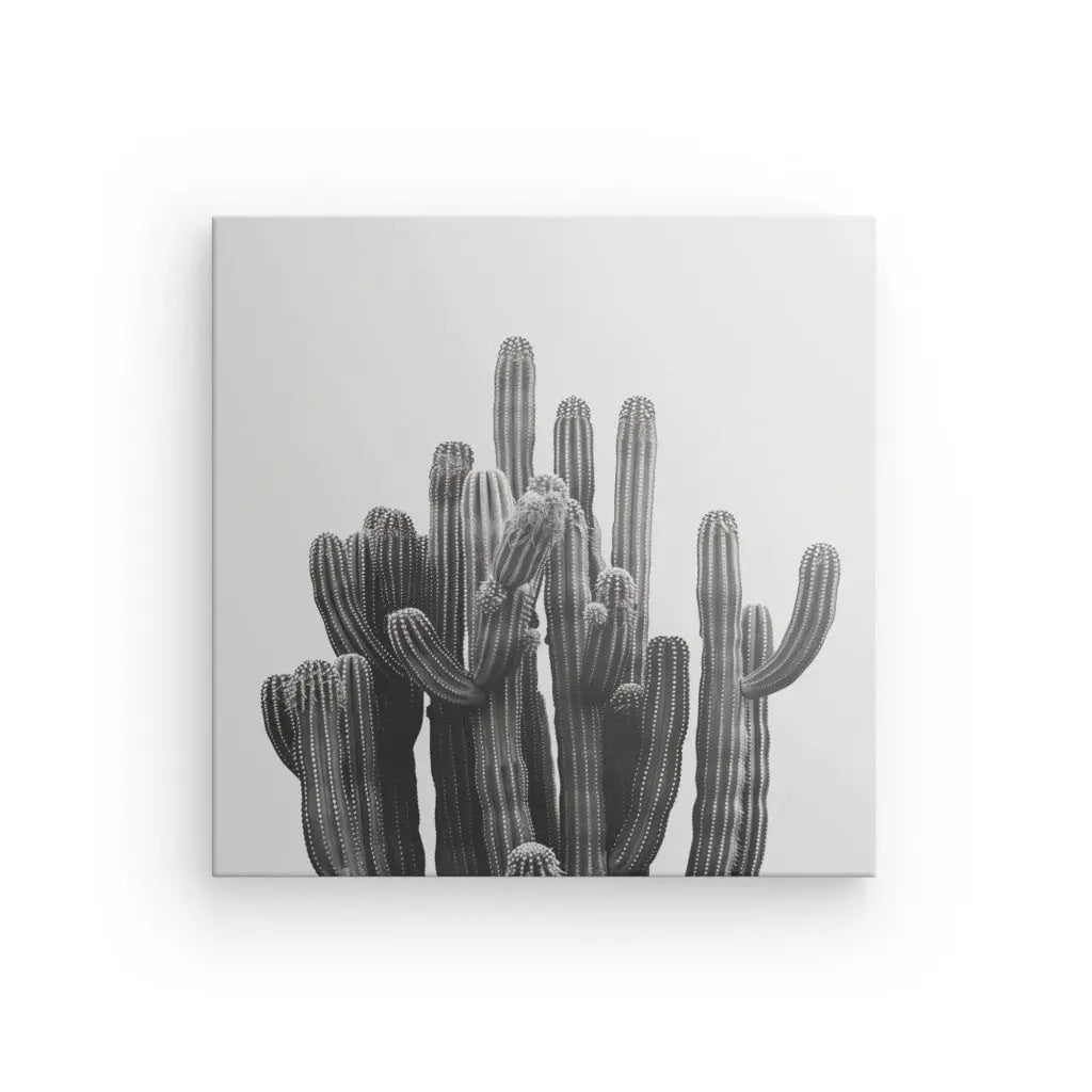 Tableau Carré Cactus Noir et Blanc représentant plusieurs cactus hauts aux bras nervurés et allongés sur un fond blanc uni, parfait pour une décoration minimaliste.