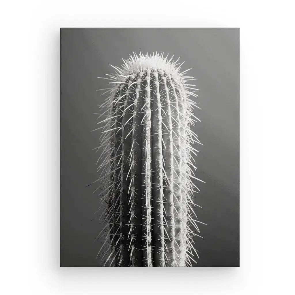 Tableau Cactus Gros Plan Minimaliste Monochrome présente une photographie en noir et blanc d'un grand cactus avec de nombreuses épines sur un fond uni et sombre ; une œuvre d'art exquise et minimaliste qui ajoute du charme à votre décoration contemporaine.