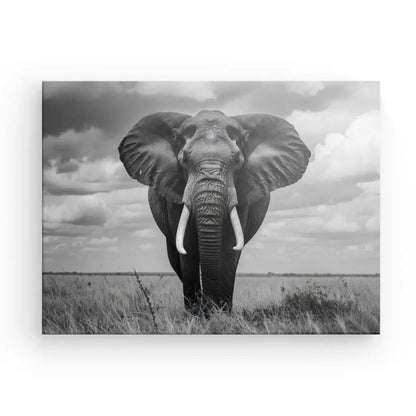 Tableau Eléphant d'Afrique Noir et Blanc - #tag1# - #tag2# 