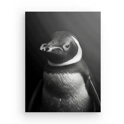Tableau Pïngouin Gros Plan Noir et Blanc - #tag1# - #tag2# 