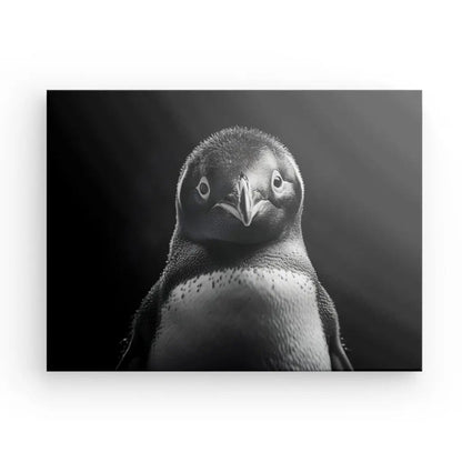 Tableau Manchot Portrait Animalier Noir et Blanc - #tag1# - #tag2# 