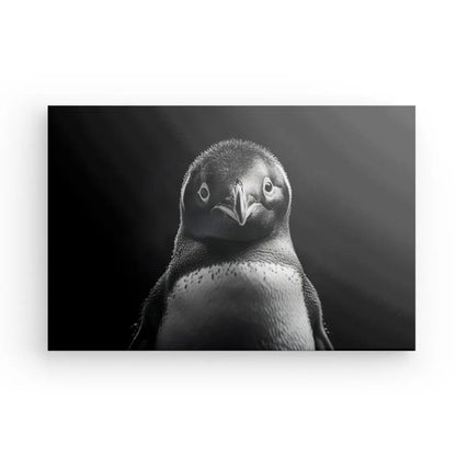 Tableau Manchot Portrait Animalier Noir et Blanc - #tag1# - #tag2# 
