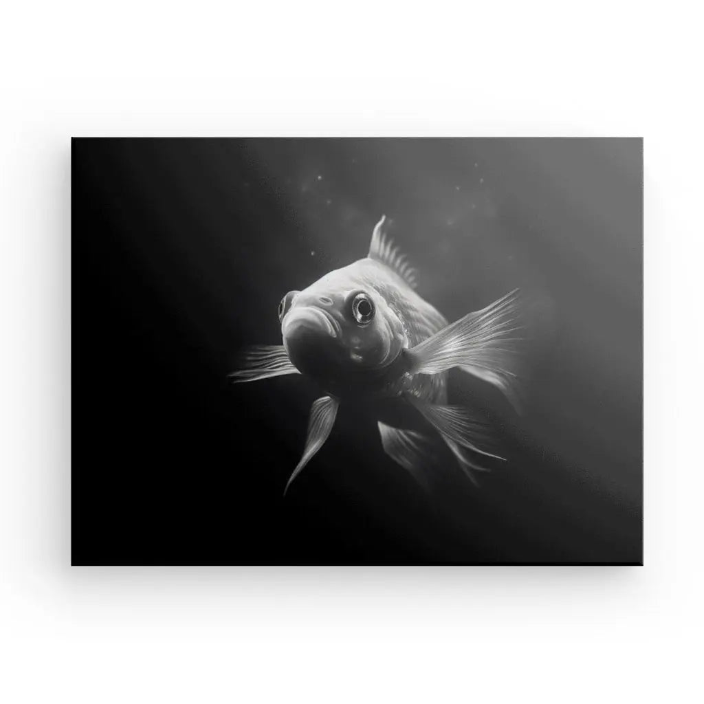 Photographie en noir et blanc d’un poisson nageant dans un environnement sous-marin sombre. Les nageoires du poisson sont écartées et il semble se diriger vers la caméra. Ce "Tableau Poisson Rouge Goldfish Noir et Blanc" ajoute une touche saisissante à toute décoration d'intérieur avec son design contemporain.