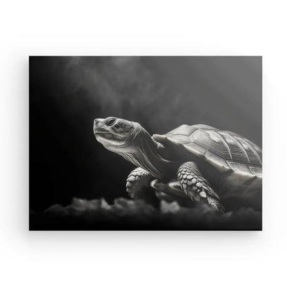 Tableau Portrait Tortue Noir et Blanc - #tag1# - #tag2# 