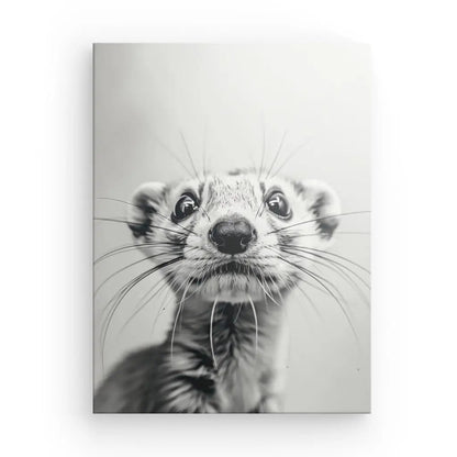 Tableau Furet Mignon Noir et Blanc - #tag1# - #tag2# 