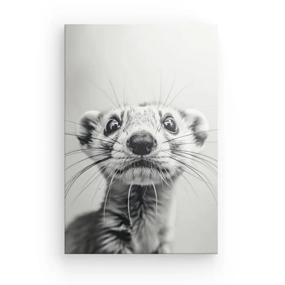 Tableau Furet Mignon Noir et Blanc - #tag1# - #tag2# 