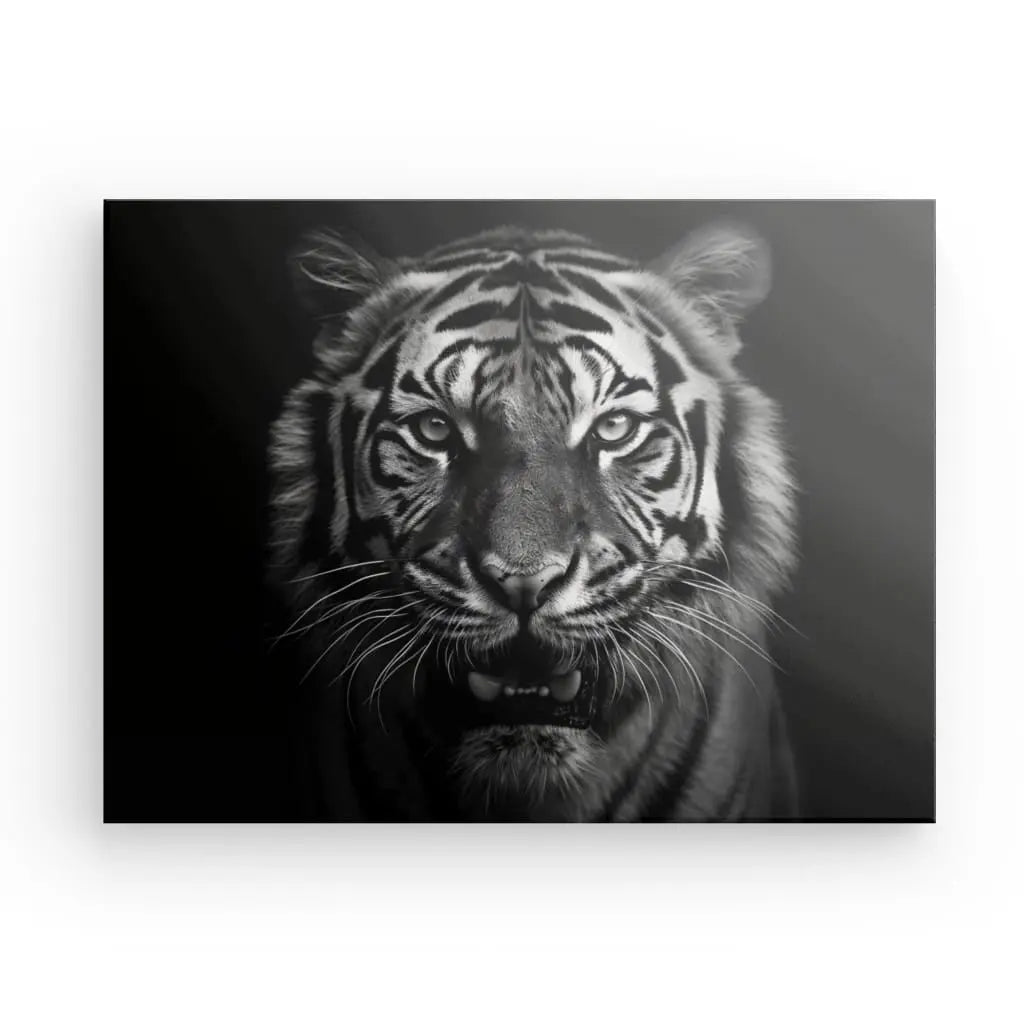 Monochrome Bengal tiger art print with fierce expression.