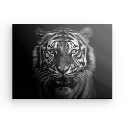 Tableau Rugissement Tigre du Bengale Monochrome - #tag1# - #tag2# 