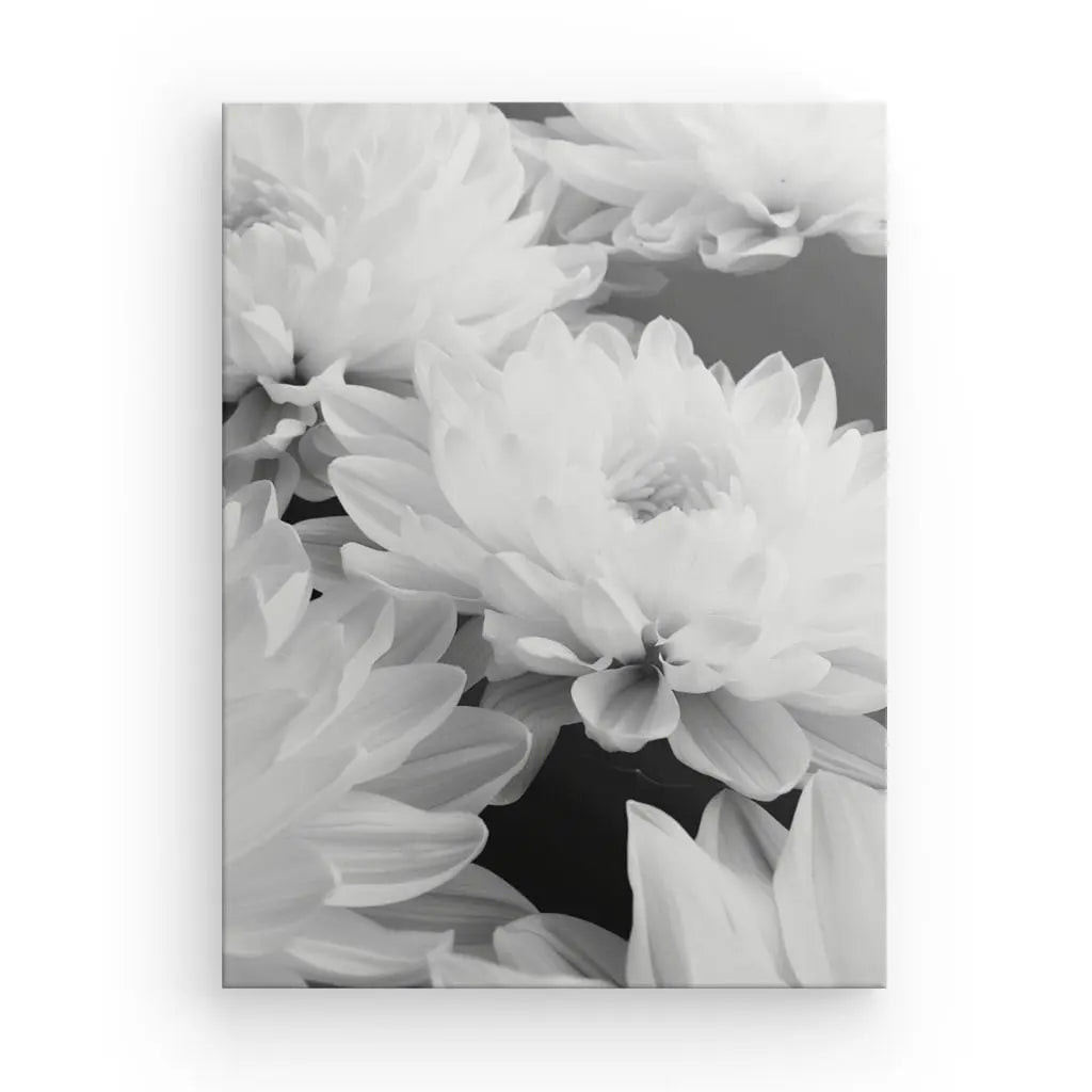 Photographie en noir et blanc de fleurs de lotus en gros plan. Les pétales sont doux et délicats, créant un contraste avec le fond sombre, rappelant l'art contemporain. Parfait pour ajouter une touche d'élégance à votre décoration intérieure.