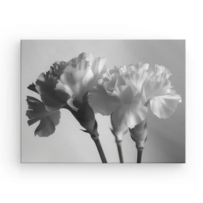 Gros plan de fleurs blanches en noir et blanc sur toile décorative.