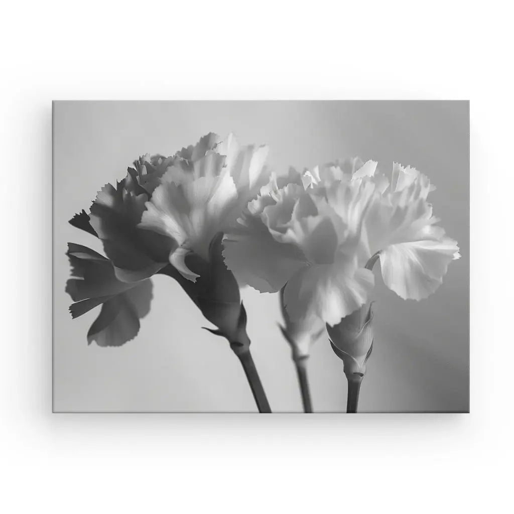 Tableau Fleurs Blanches Gros Plan - #tag1# - #tag2# 