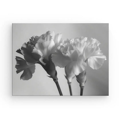Tableau Fleurs Blanches Gros Plan - #tag1# - #tag2# 