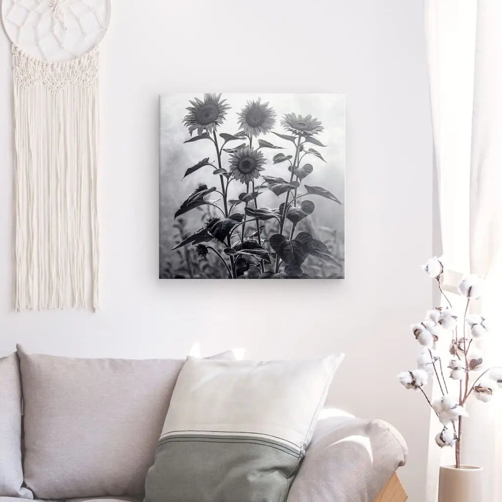 Tableau Tournesols Noir et Blanc - #tag1# - #tag2# 