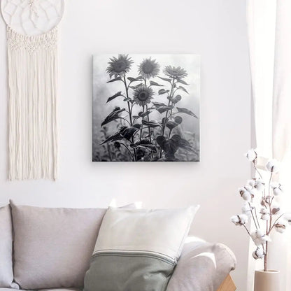 Tableau Tournesols Noir et Blanc - #tag1# - #tag2# 