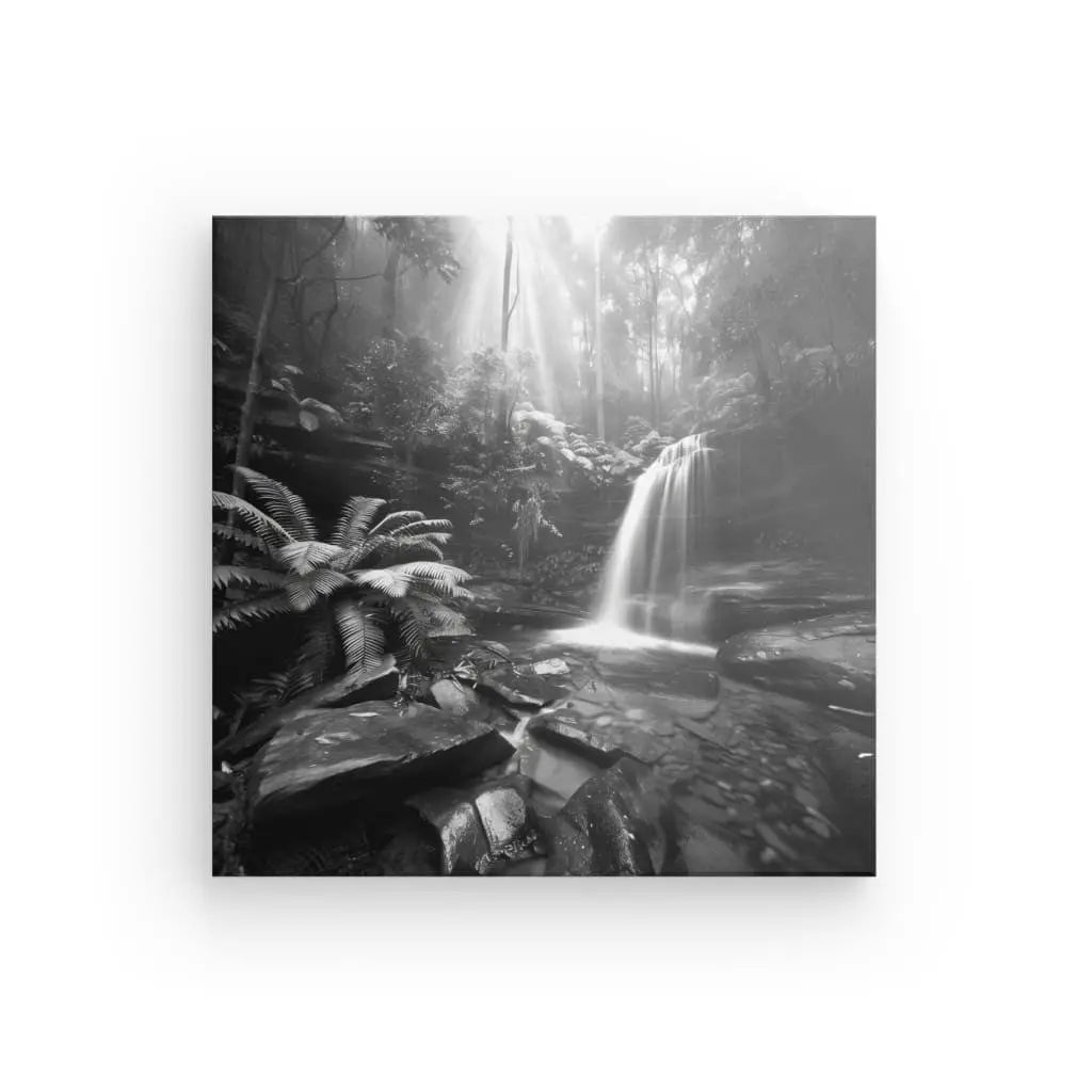 Tableau Noir et Blanc Jungle  Cascade - #tag1# - #tag2# 