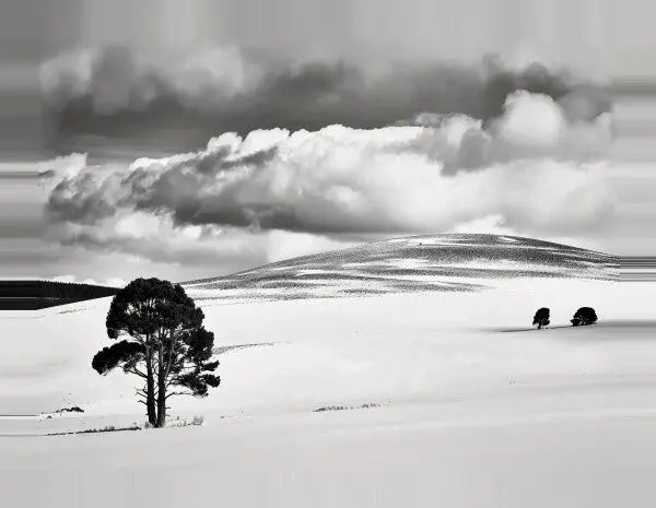 Tableau Paysage Désertique Nuageux Noir et Blanc - #tag1# - #tag2# 