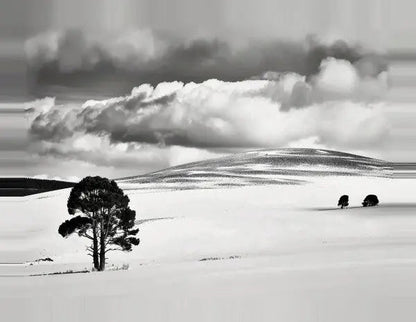 Tableau Paysage Désertique Nuageux Noir et Blanc - #tag1# - #tag2# 