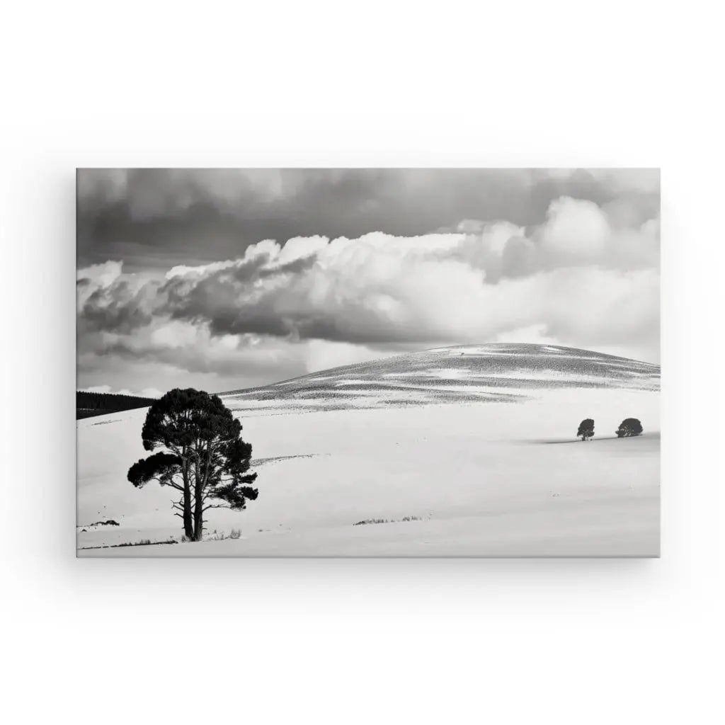 Tableau Paysage Désertique Nuageux Noir et Blanc - #tag1# - #tag2# 