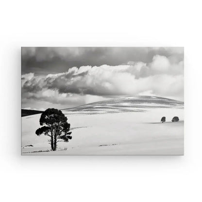 Tableau Paysage Désertique Nuageux Noir et Blanc - #tag1# - #tag2# 