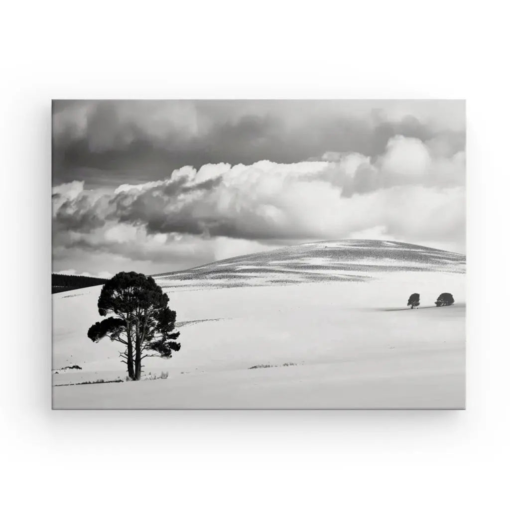 Tableau Paysage Désertique Nuageux Noir et Blanc - #tag1# - #tag2# 
