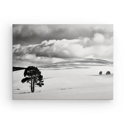 Tableau Paysage Désertique Nuageux Noir et Blanc - #tag1# - #tag2# 