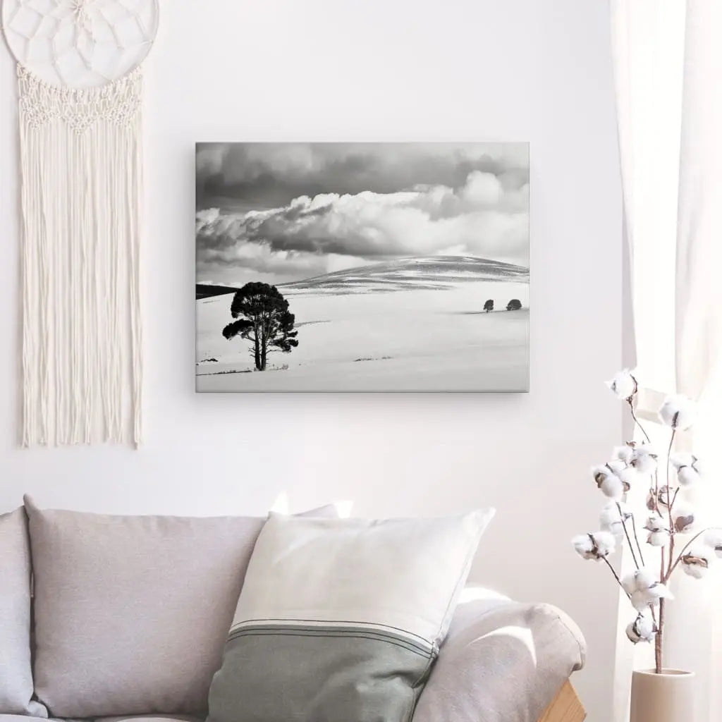 Tableau Paysage Désertique Nuageux Noir et Blanc - #tag1# - #tag2# 