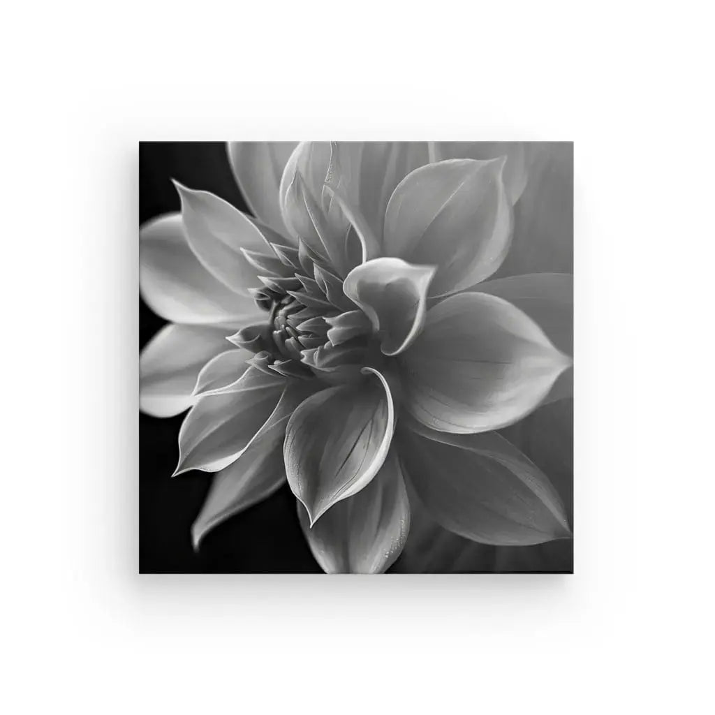 Fleur Lotus Gros Plan Noir et Blanc - #tag1# - #tag2# 