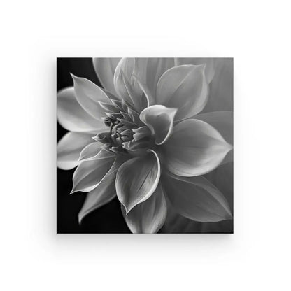 Fleur Lotus Gros Plan Noir et Blanc - #tag1# - #tag2# 