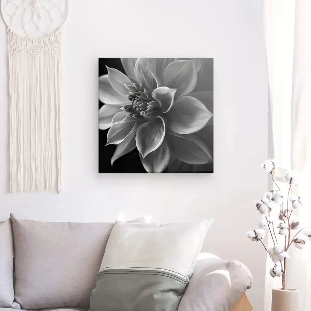 Fleur Lotus Gros Plan Noir et Blanc - #tag1# - #tag2# 