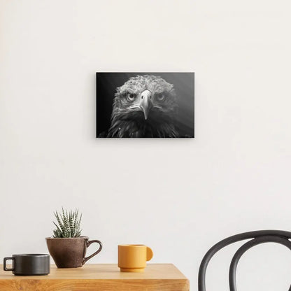 Tableau Aigle Rapace Portrait Animal Noir et Blanc - Univers Noir et Blanc - #tag1# - #tag2# - #tag3#