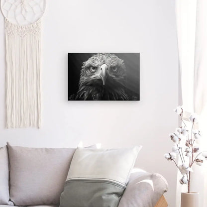 Tableau Aigle Rapace Portrait Animal Noir et Blanc - Univers Noir et Blanc - #tag1# - #tag2# - #tag3#