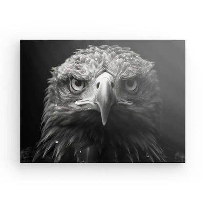 Tableau Aigle Rapace Portrait Animal Noir et Blanc - Univers Noir et Blanc - #tag1# - #tag2# - #tag3#