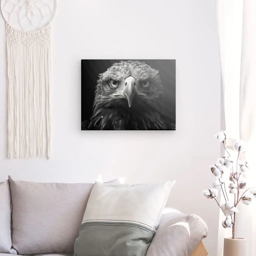 Tableau Aigle Rapace Portrait Animal Noir et Blanc - Univers Noir et Blanc - #tag1# - #tag2# - #tag3#