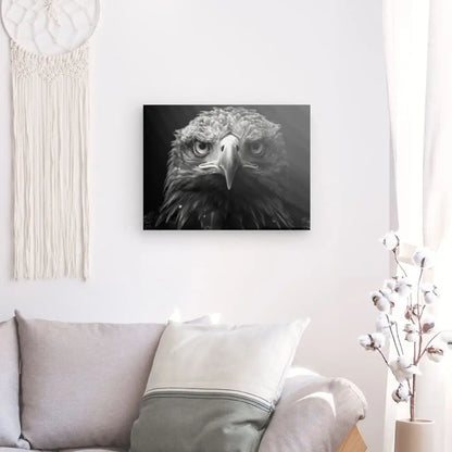 Tableau Aigle Rapace Portrait Animal Noir et Blanc - Univers Noir et Blanc - #tag1# - #tag2# - #tag3#