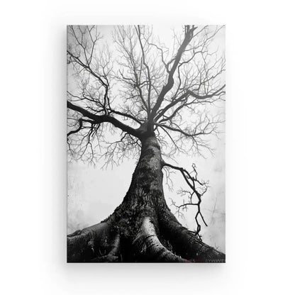 Tableau Arbre Centenaire Noir et Blanc - Univers Noir et Blanc - #tag1# - #tag2# - #tag3#