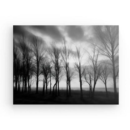 Tableau Arbres Nature Campagne Noir et Blanc - Univers Noir et Blanc - #tag1# - #tag2# - #tag3#