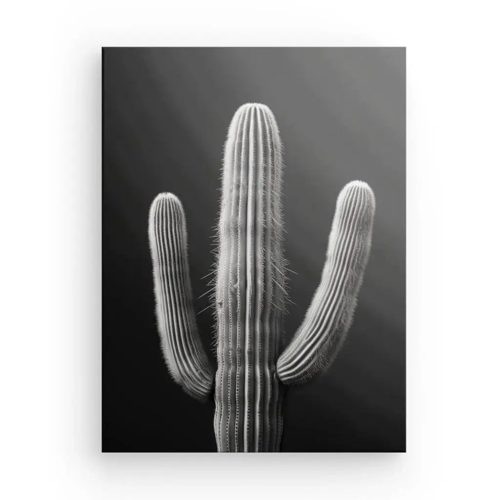 Tableau Cactus Désert Monochrome Fond Noir - Univers Noir et Blanc - #tag1# - #tag2# - #tag3#