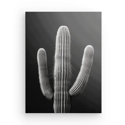 Tableau Cactus Désert Monochrome Fond Noir - Univers Noir et Blanc - #tag1# - #tag2# - #tag3#