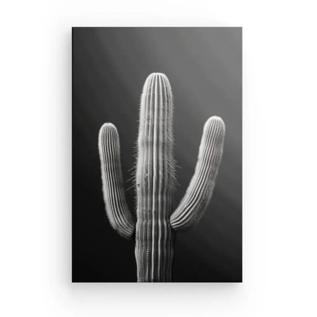 Tableau Cactus Désert Monochrome Fond Noir - Univers Noir et Blanc - #tag1# - #tag2# - #tag3#