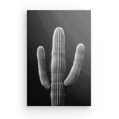 Tableau Cactus Désert Monochrome Fond Noir - Univers Noir et Blanc - #tag1# - #tag2# - #tag3#