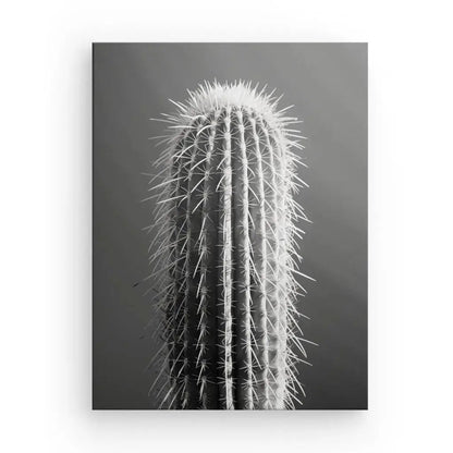 Tableau Cactus Gros Plan Minimaliste Monochrome - Univers Noir et Blanc - #tag1# - #tag2# - #tag3#