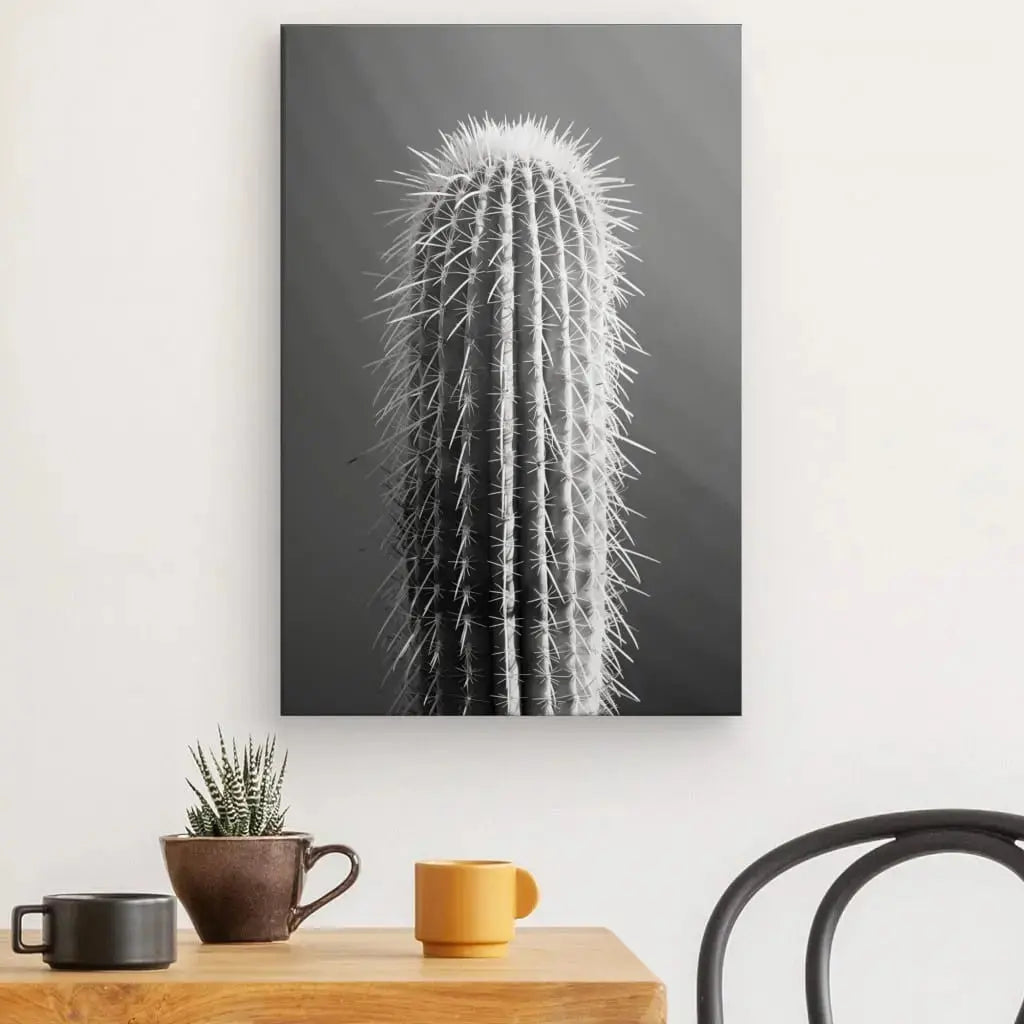 Tableau Cactus Gros Plan Minimaliste Monochrome - Univers Noir et Blanc - #tag1# - #tag2# - #tag3#
