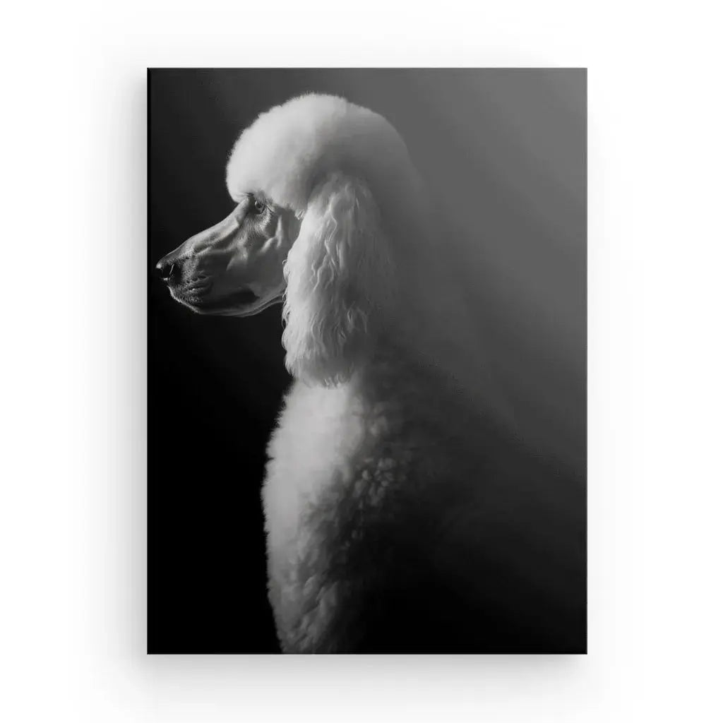 Tableau Caniche Royal Portrait Canin Chien Noir et Blanc - Univers Noir et Blanc - #tag1# - #tag2# - #tag3#