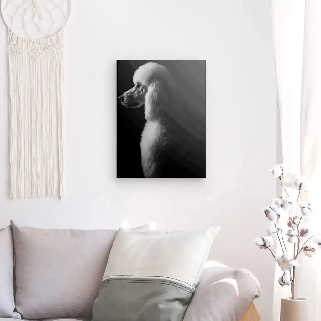 Tableau Caniche Royal Portrait Canin Chien Noir et Blanc - Univers Noir et Blanc - #tag1# - #tag2# - #tag3#