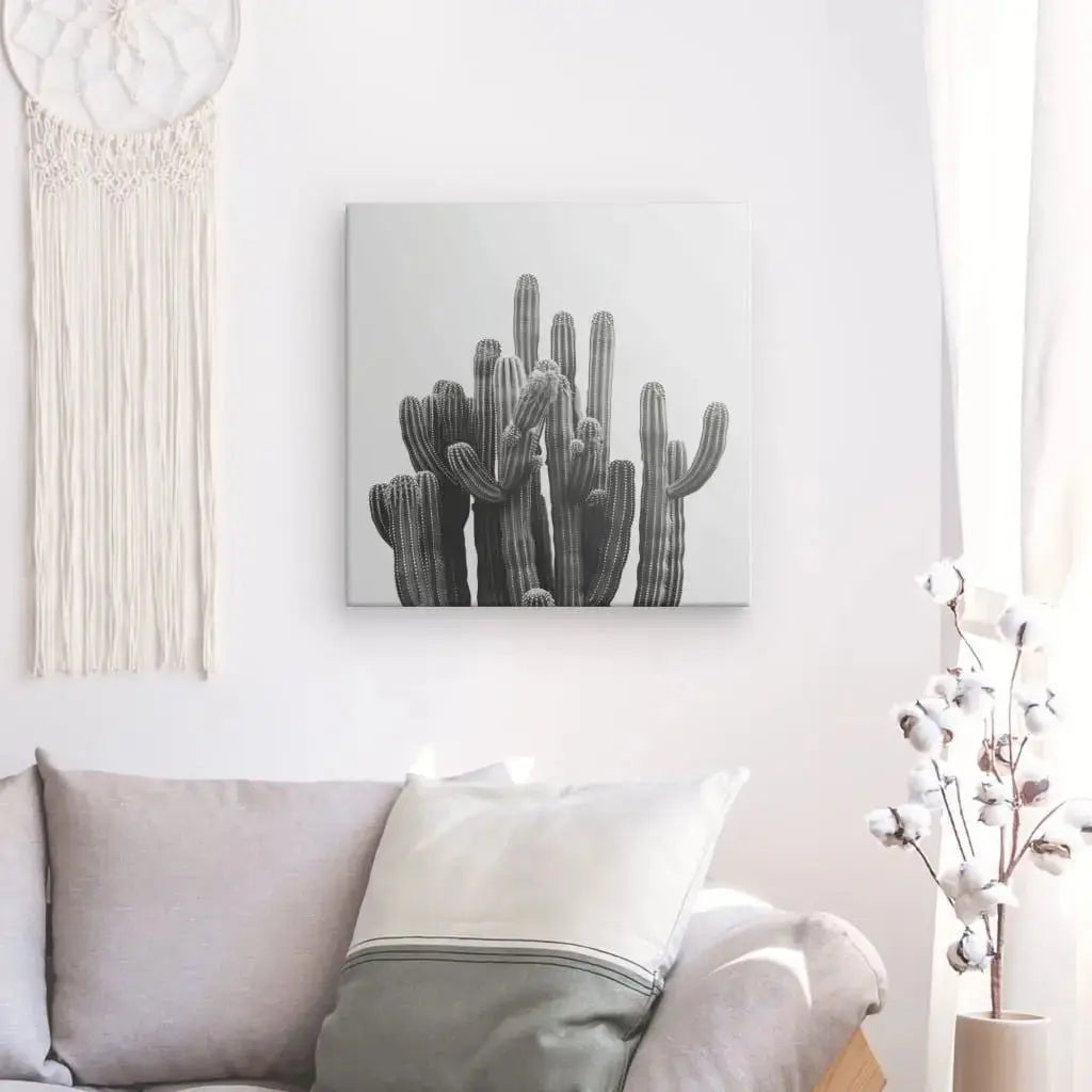Tableau Carré Cactus Noir et Blanc - Univers Noir et Blanc - #tag1# - #tag2# - #tag3#